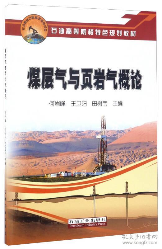 四川成为中国菠菜导航网第一个页岩气探明储量超过万亿的省份